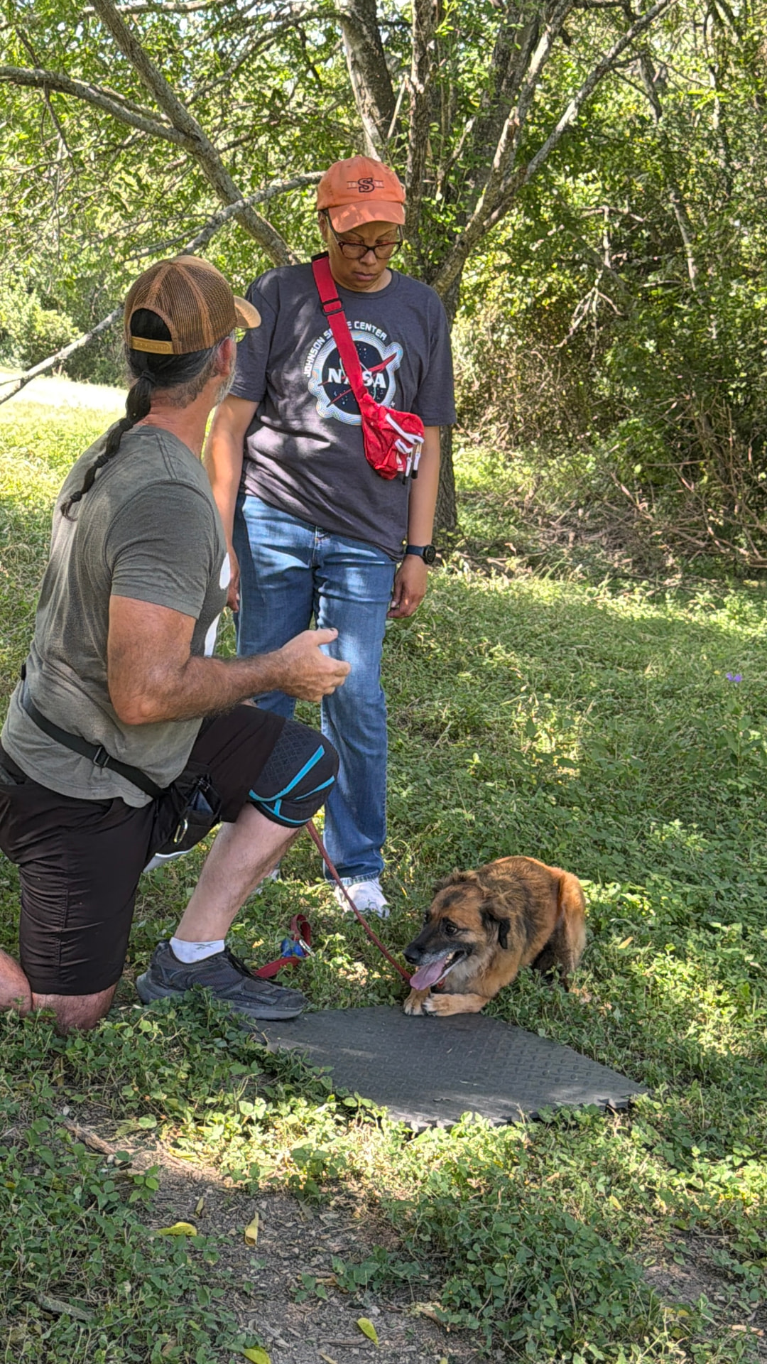 Reggie holding attentive eye contact with his handler during a session