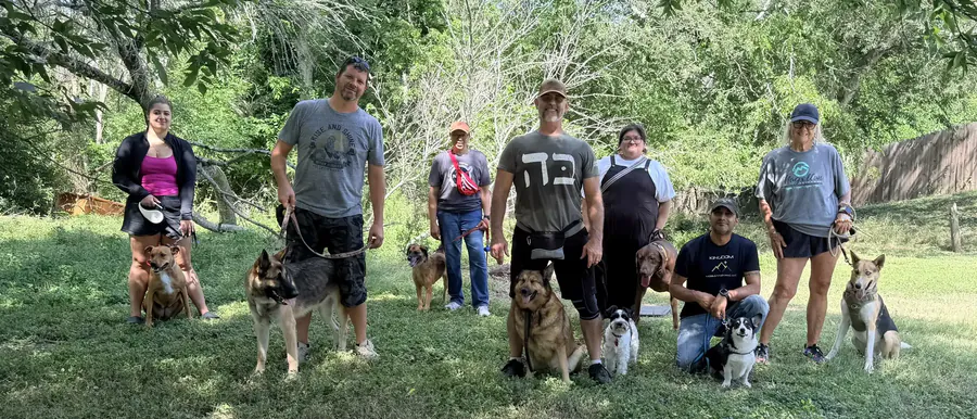 A group obedience boot camp session: handlers spaced across a clearing holding their dogs in place-and-stay positions.