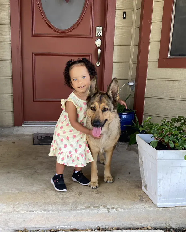 A toddler in a strawberry-print dress hugging River, a German Shepherd, on a front porch