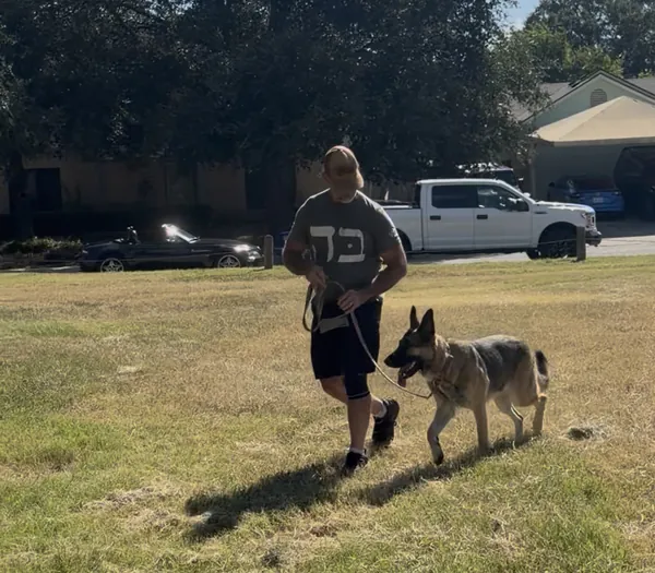 Sasha sitting calmly beside her handler during a private lesson